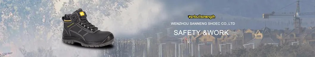 Ce Certificate Nubuck S3 Standard Safety Shoes/Safety Footwear/Working Shoes/Work Boots Sn5712