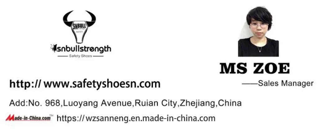 Industrial Leather Men/Women Working Shoe Safety Footwear - Sn5798